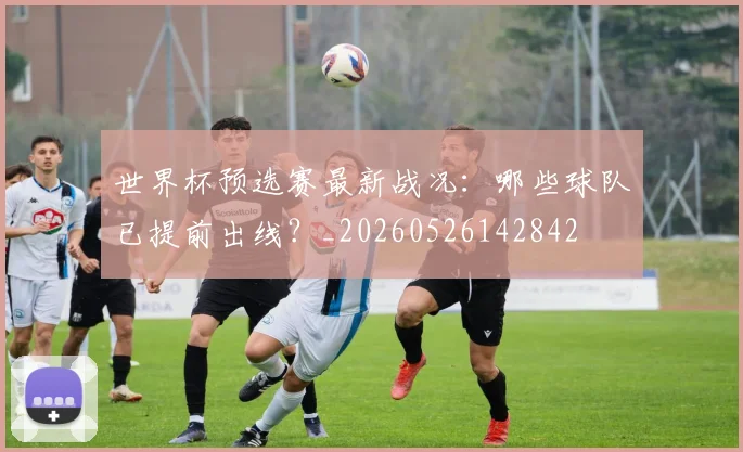 世界杯预选赛最新战况：哪些球队已提前出线？_20260526142842